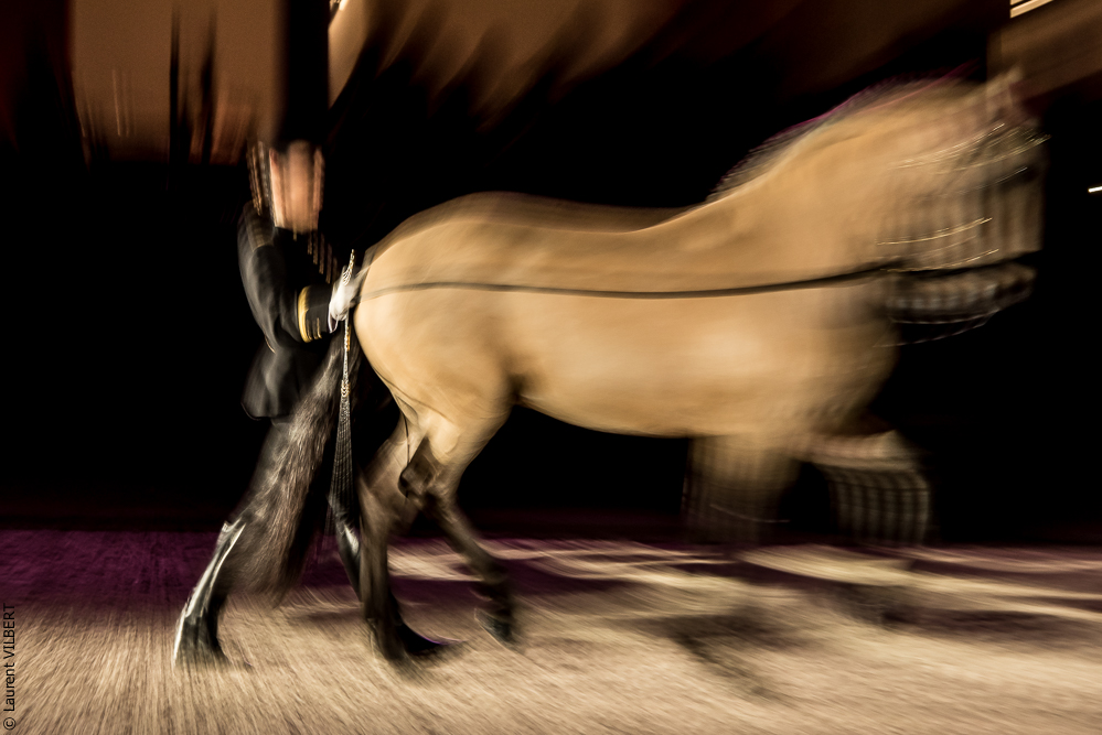 Nuit Iberique 20190207-2029