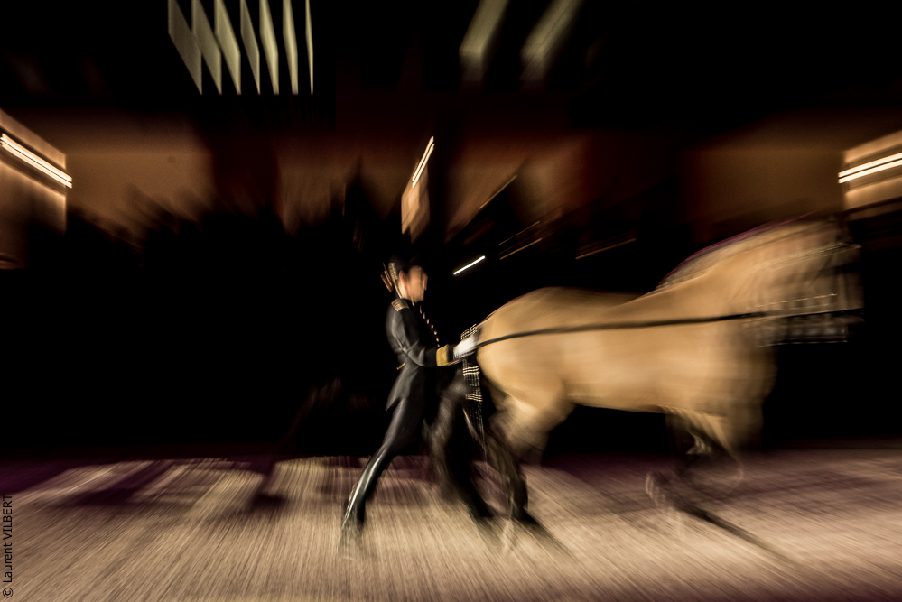 Nuit Iberique 20190207-2030