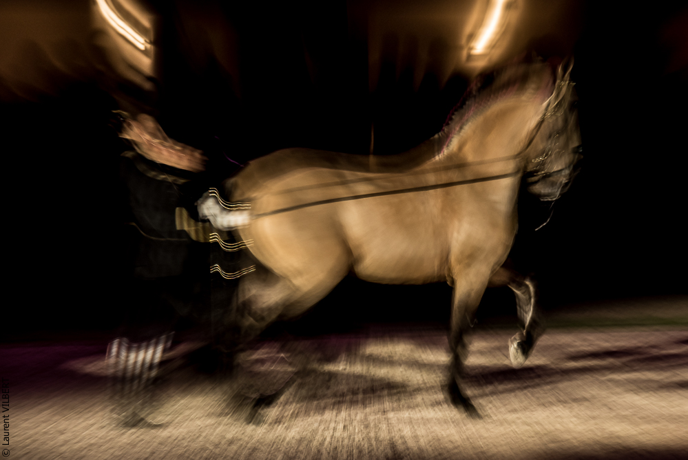 Nuit Iberique 20190207-2032