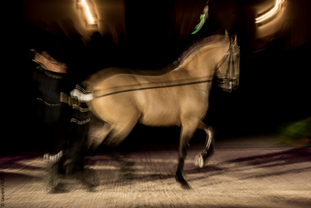 Nuit Iberique 20190207-2033