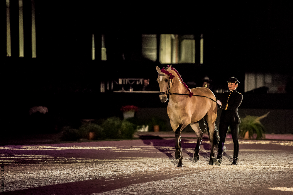 Nuit Iberique 20190207-2053