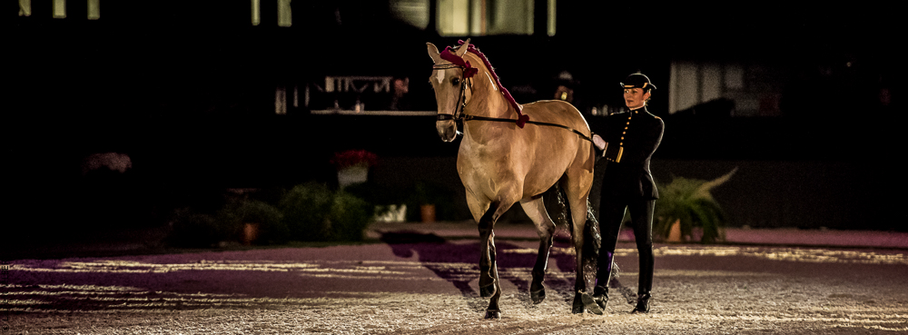 Nuit Iberique 20190207-2053