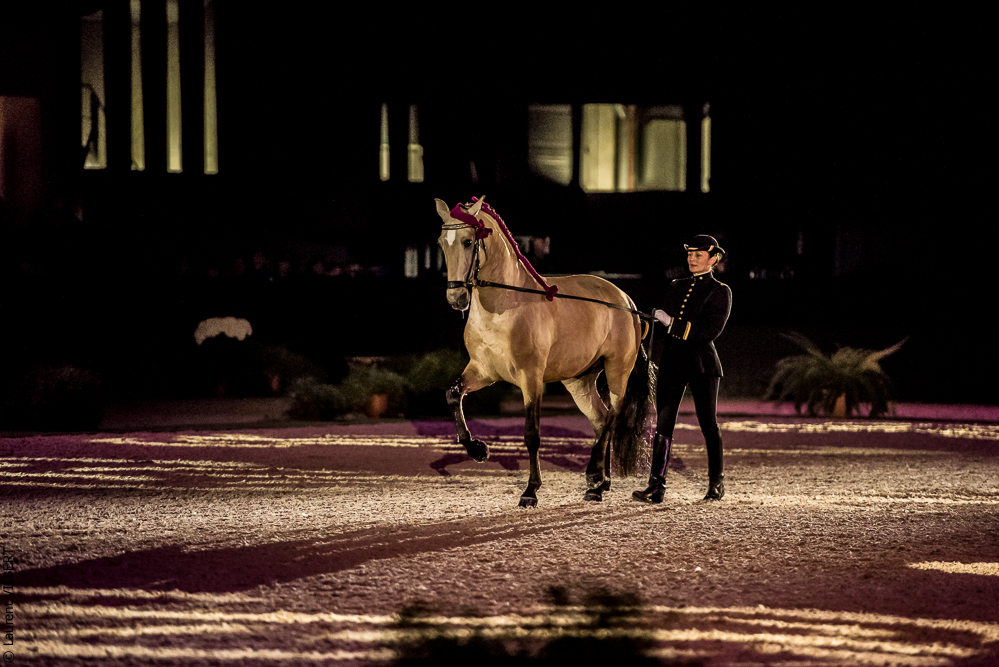 Nuit Iberique 20190207-2055