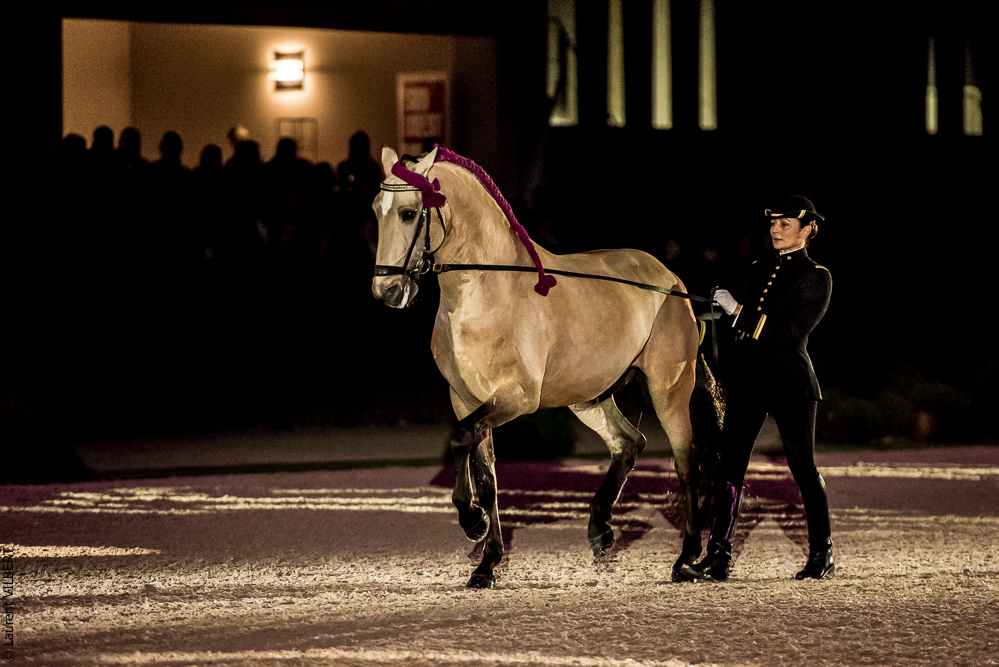 Nuit Iberique 20190207-2061