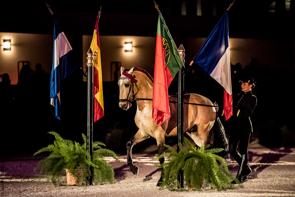 Nuit Iberique 20190207-2066