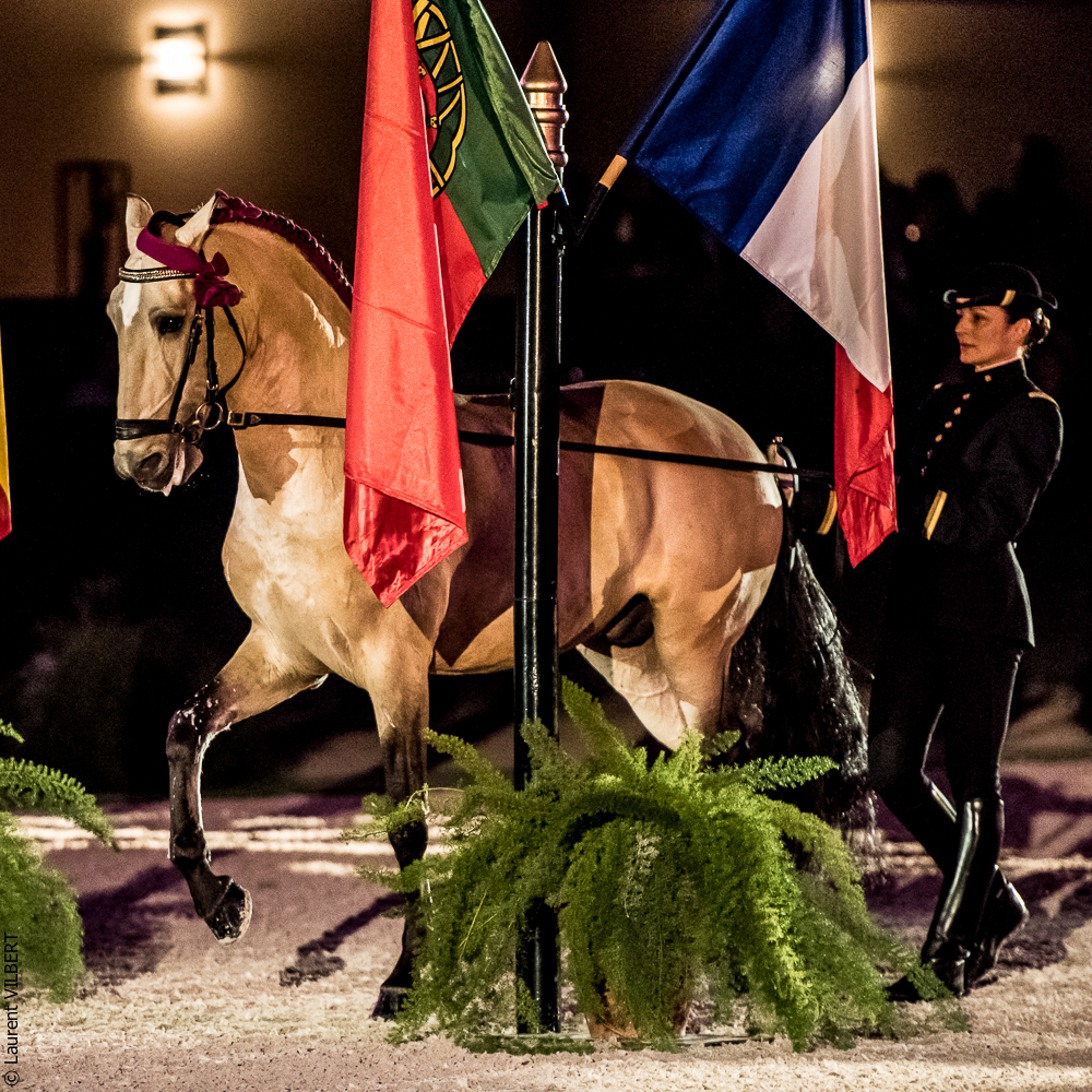 Nuit Iberique 20190207-2066