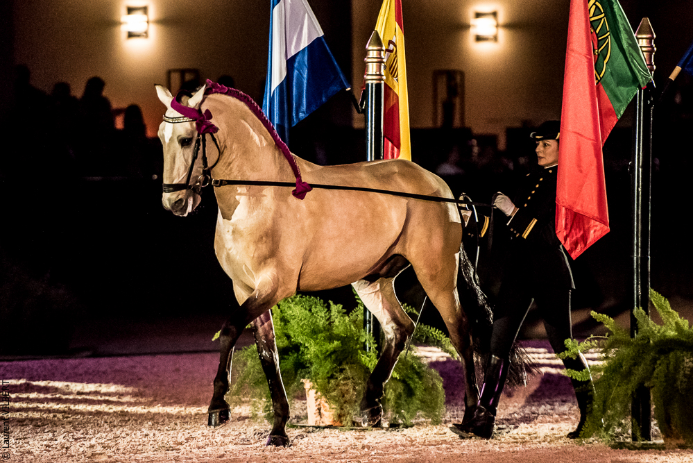 Nuit Iberique 20190207-2069