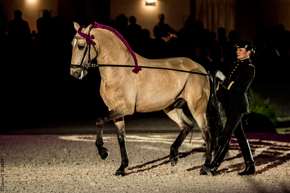 Nuit Iberique 20190207-2071