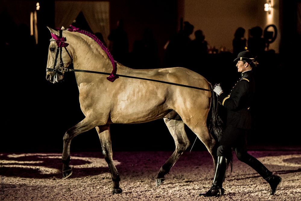 Nuit Iberique 20190207-2084