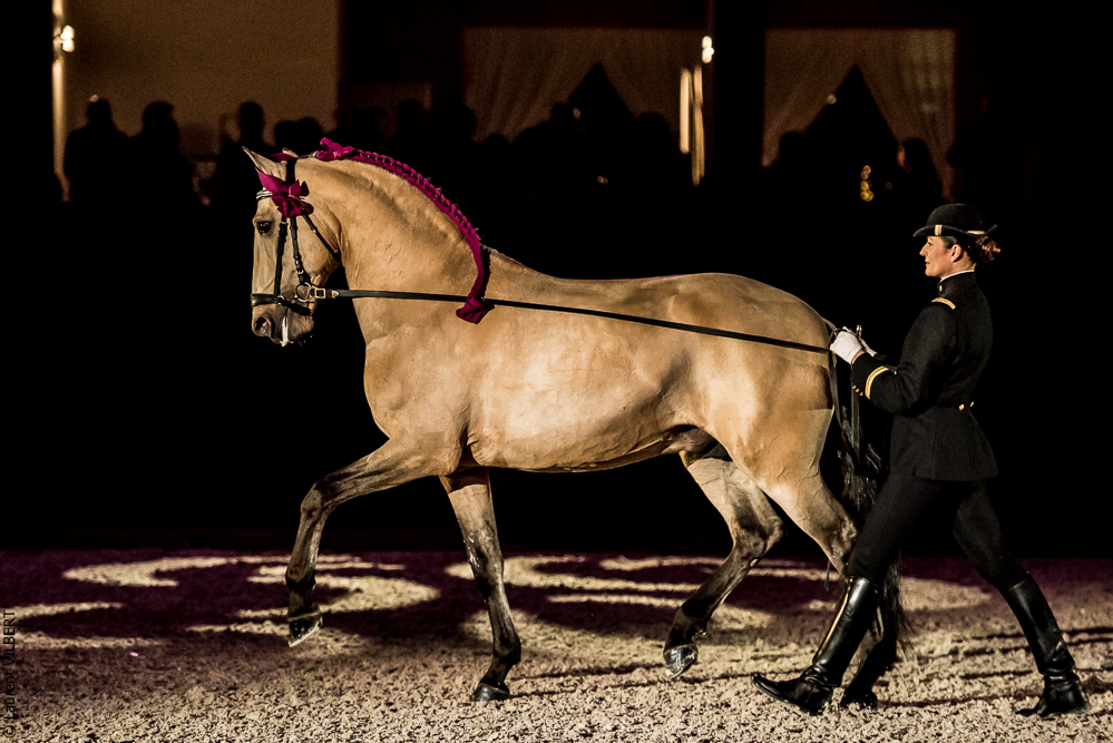 Nuit Iberique 20190207-2087