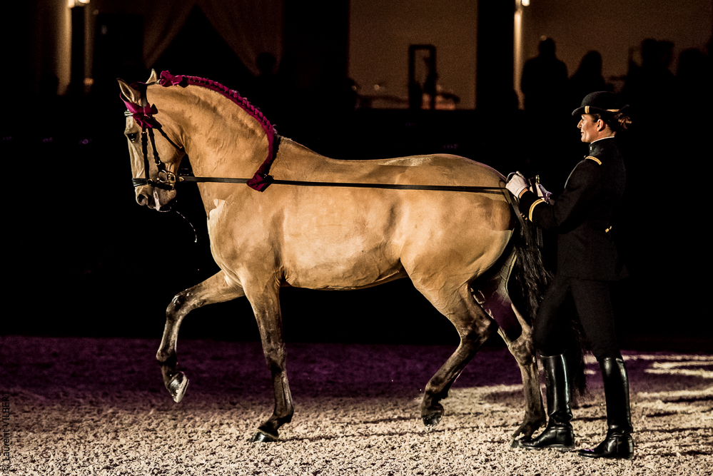 Nuit Iberique 20190207-2090