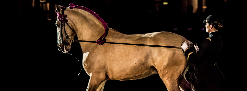 Nuit Iberique 20190207-2094