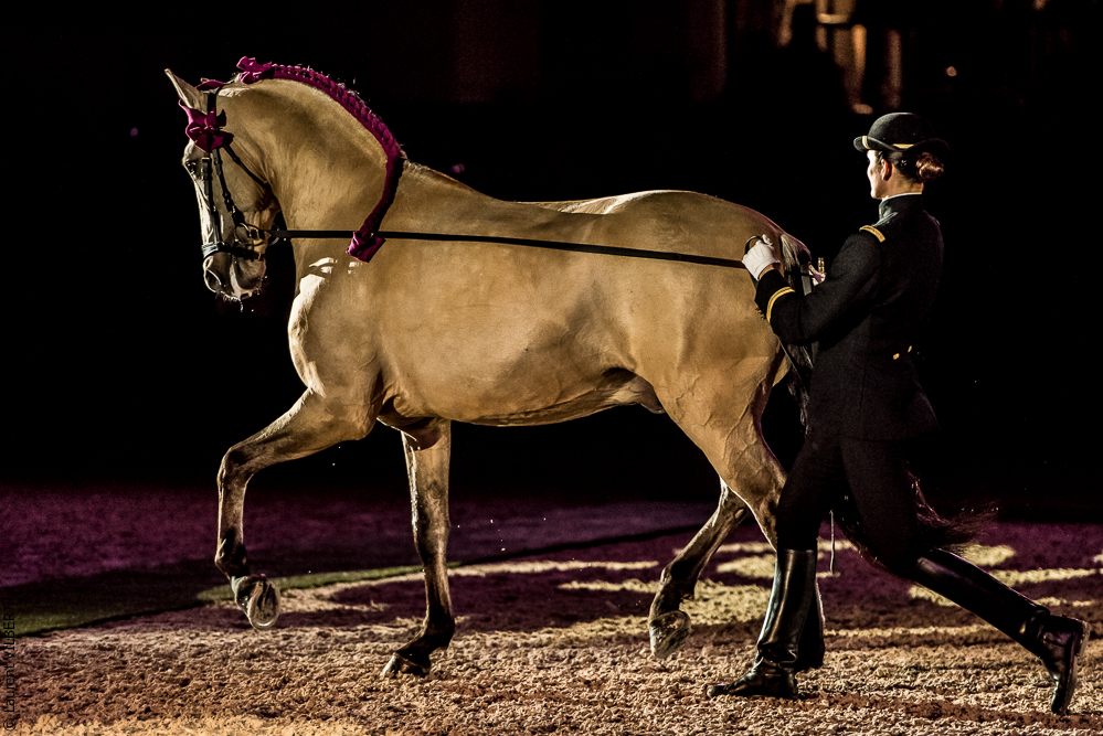 Nuit Iberique 20190207-2097