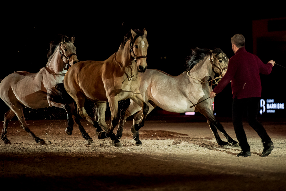 Nuit Iberique 20190206-0802