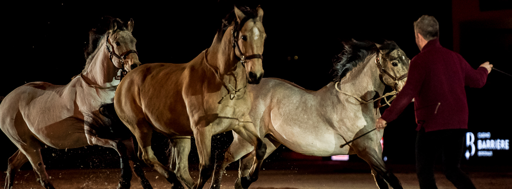 Nuit Iberique 20190206-0802