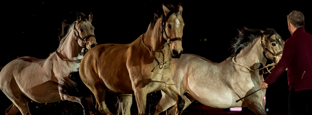 Nuit Iberique 20190206-0802