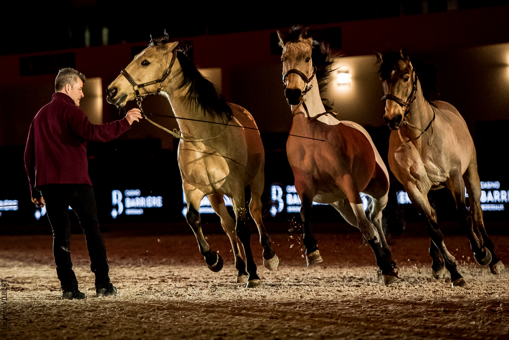 Nuit Iberique 20190206-0806