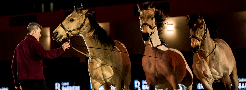 Nuit Iberique 20190206-0806