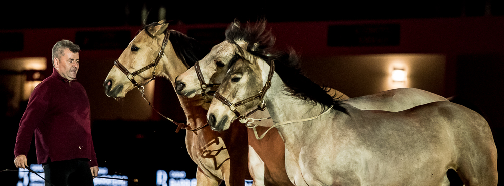 Nuit Iberique 20190206-0809