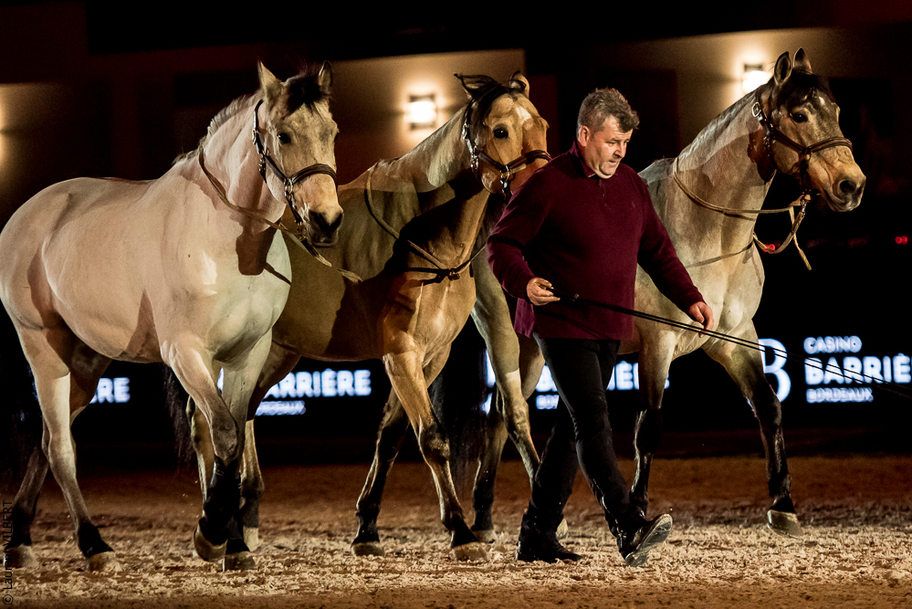 Nuit Iberique 20190206-0822