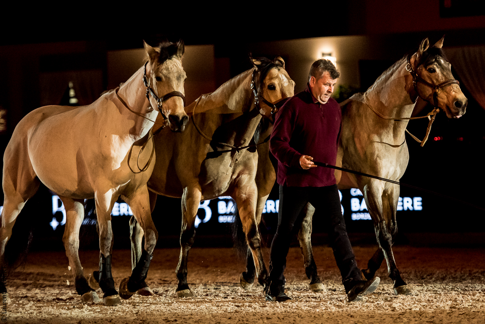 Nuit Iberique 20190206-0823