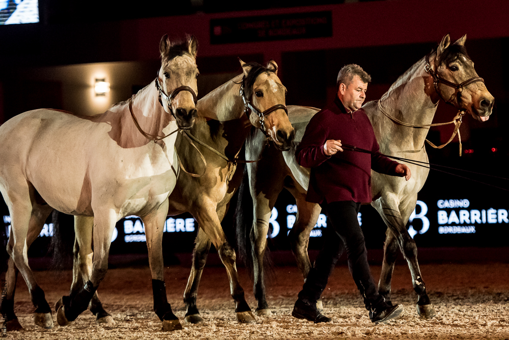 Nuit Iberique 20190206-0826