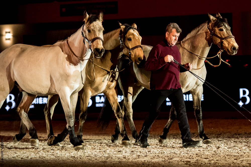 Nuit Iberique 20190206-0827