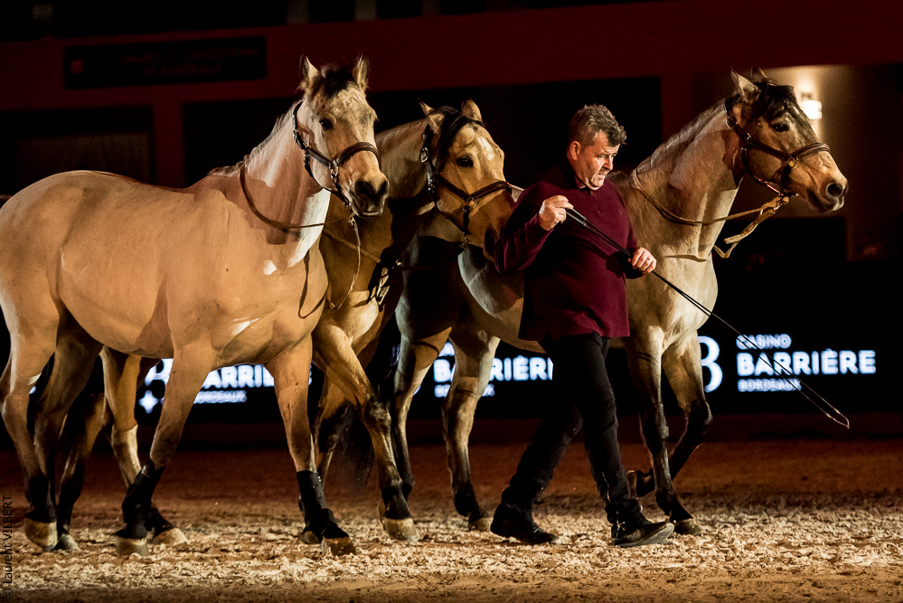 Nuit Iberique 20190206-0828