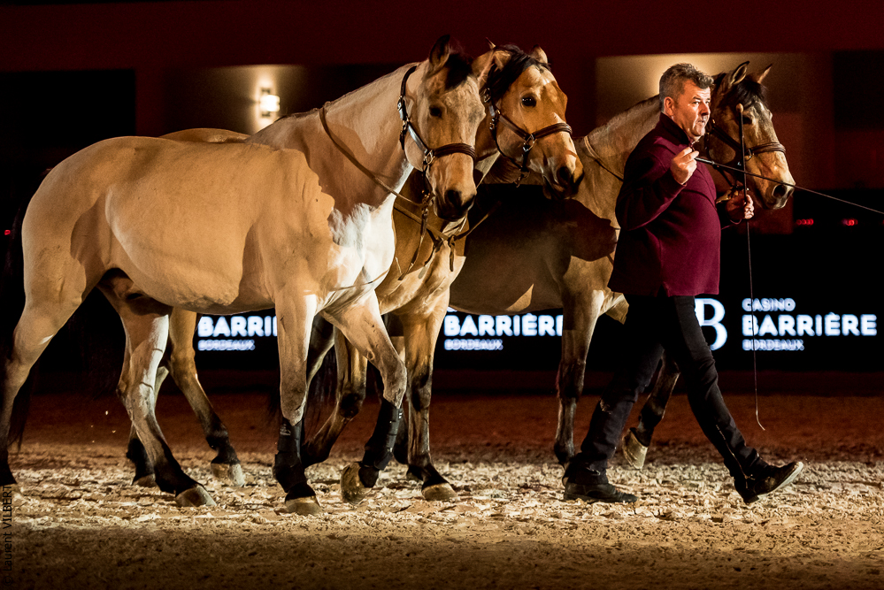 Nuit Iberique 20190206-0832