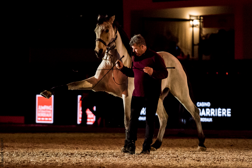 Nuit Iberique 20190206-0838