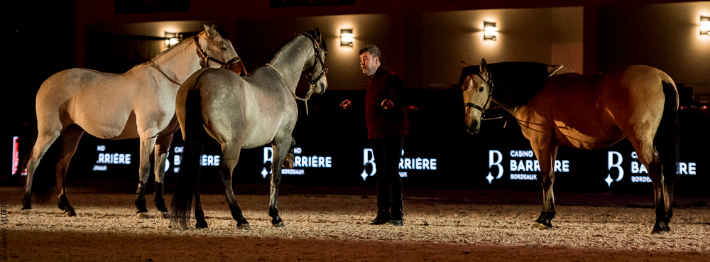 Nuit Iberique 20190206-0842