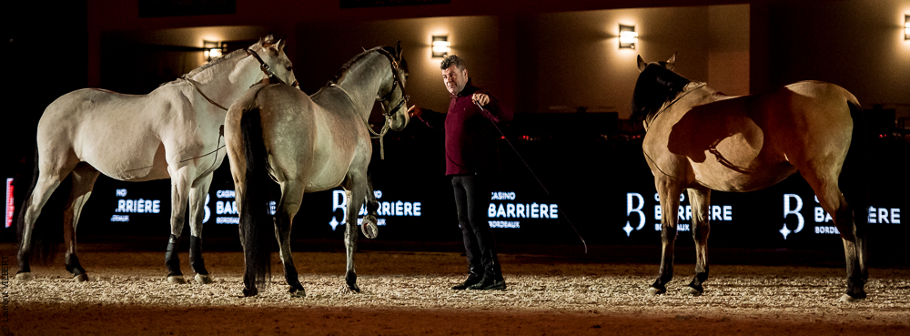 Nuit Iberique 20190206-0843