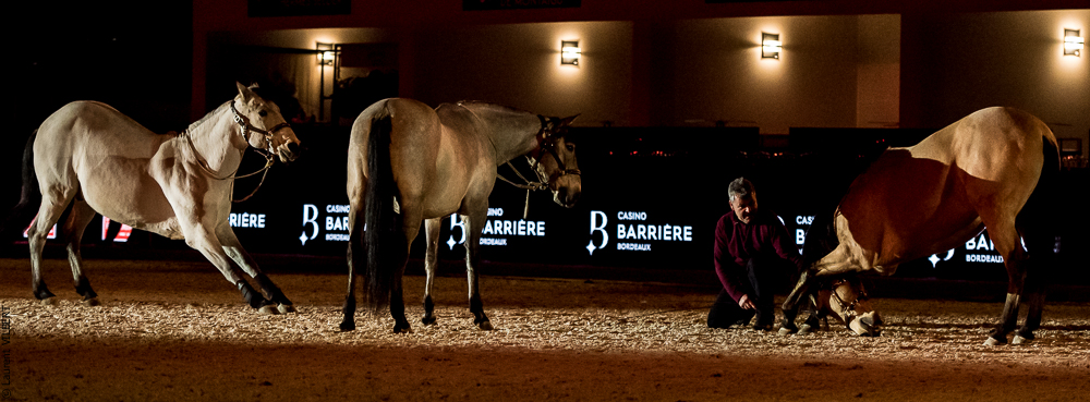 Nuit Iberique 20190206-0847