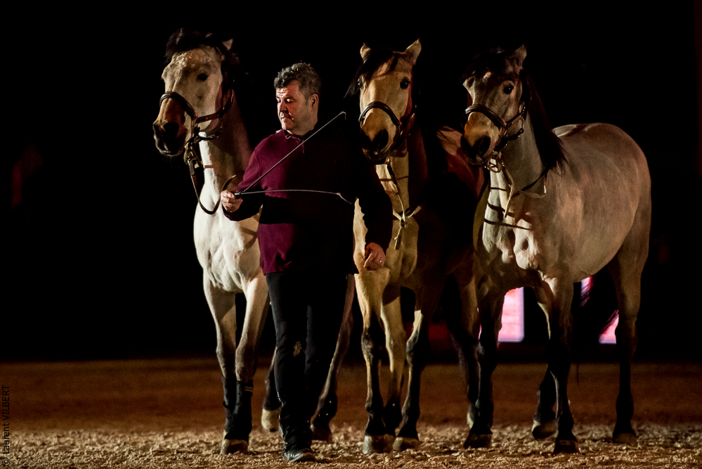 Nuit Iberique 20190206-0851