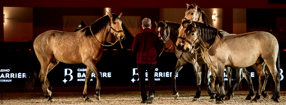 Nuit Iberique 20190206-0880