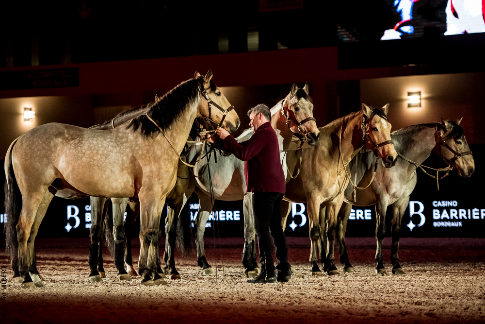 Nuit Iberique 20190206-0921