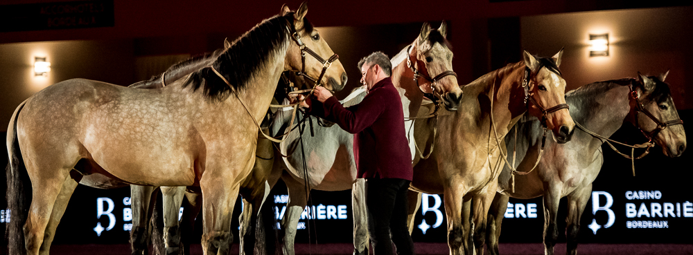 Nuit Iberique 20190206-0921