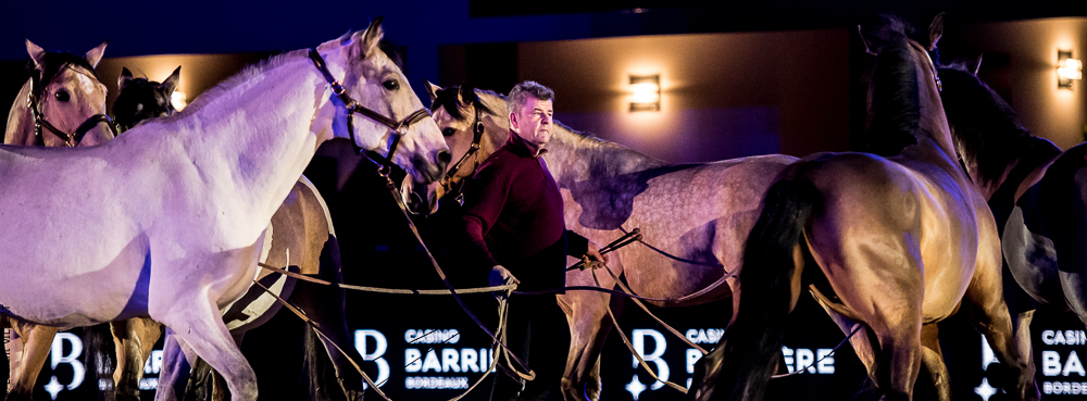 Nuit Iberique 20190206-0928