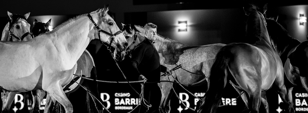 Nuit Iberique 20190206-0928