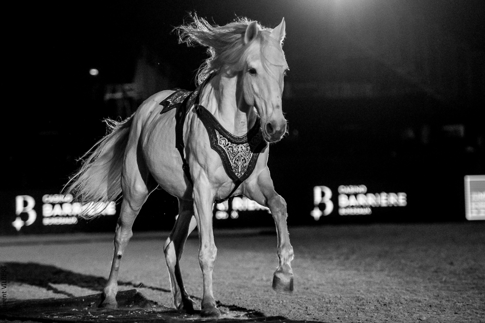 Nuit Iberique 20190206-0936