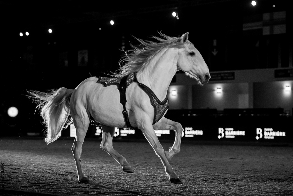 Nuit Iberique 20190206-0937