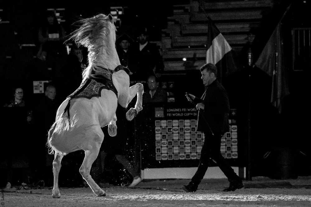 Nuit Iberique 20190206-0947