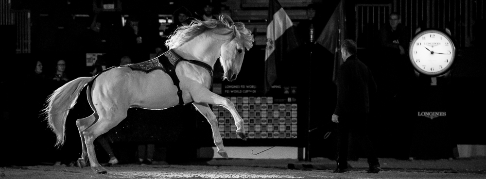 Nuit Iberique 20190206-0950