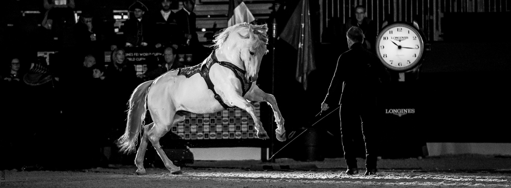 Nuit Iberique 20190206-0951