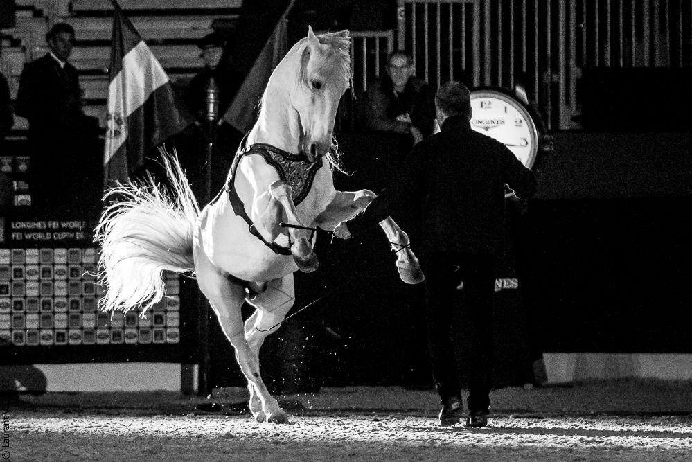 Nuit Iberique 20190206-0952