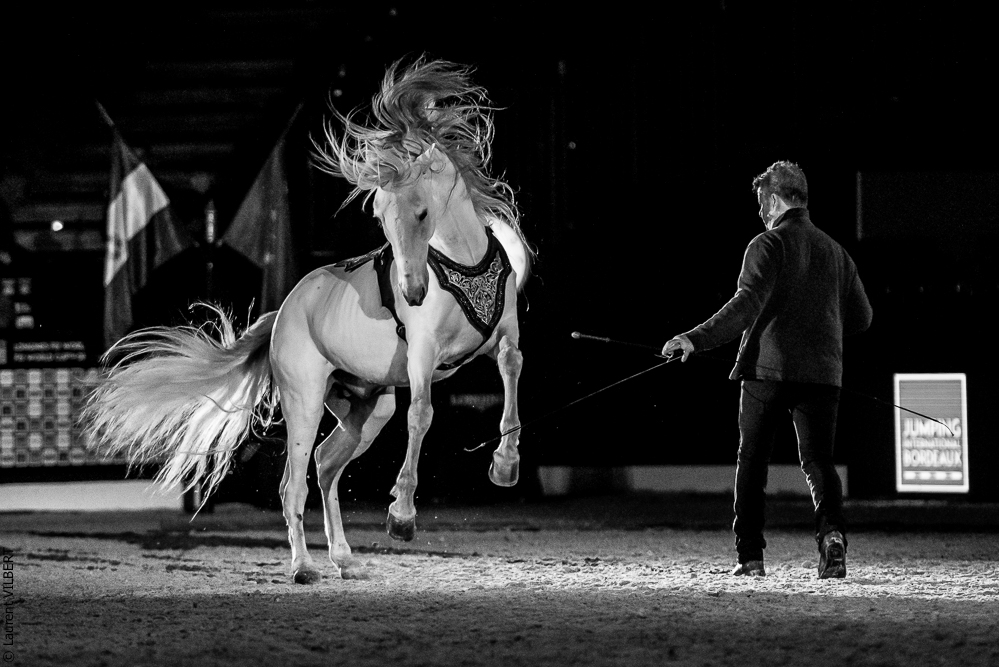 Nuit Iberique 20190206-0953