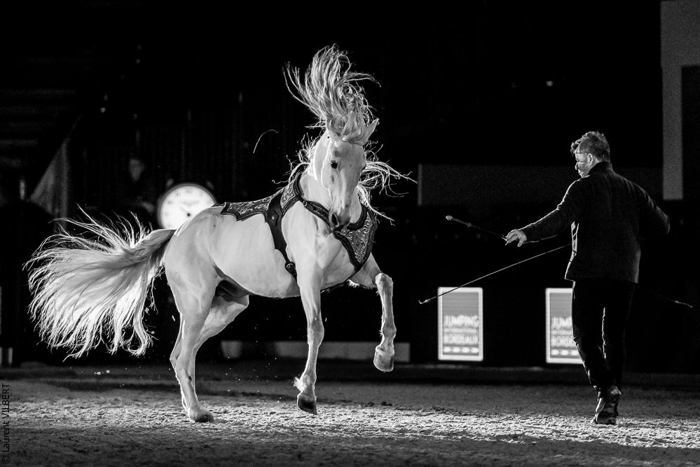 Nuit Iberique 20190206-0955