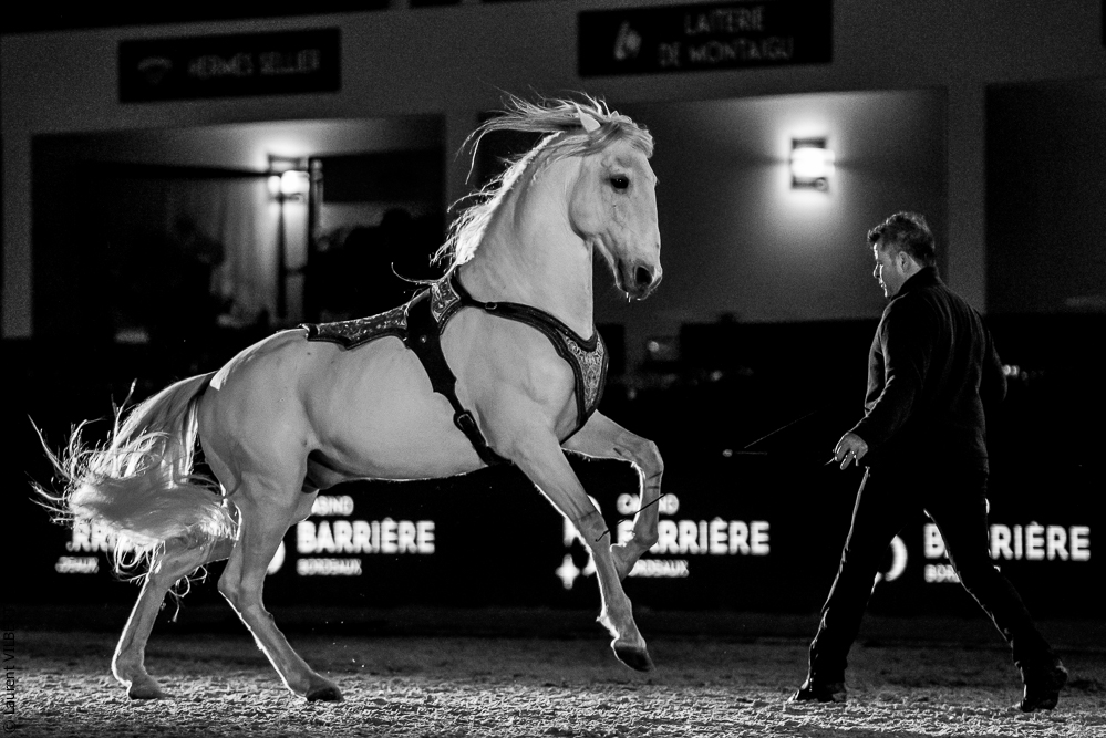 Nuit Iberique 20190206-0958