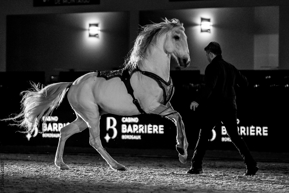 Nuit Iberique 20190206-0959