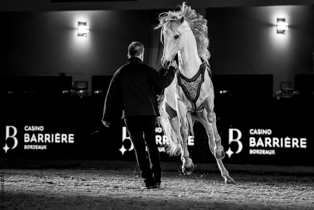 Nuit Iberique 20190206-0960